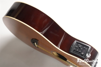 APX-600FM - Amber